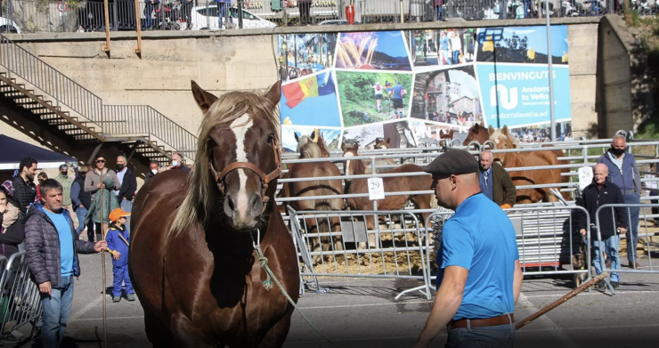 Una imatge de la Fira del bestiar.